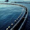 Fish Farming Cage