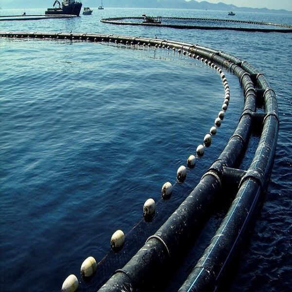 Fish Farming Cage