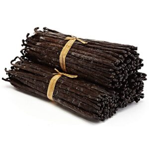 Vanilla Bean